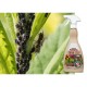 Спрей Bio Plantella Thymi, отблъсква насекоми и вредители, 500 мл.