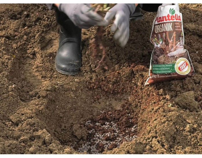 Тор органичен Plantella, Organik за засаждане и пресаждане на фиданки- разсади, 1.5кг