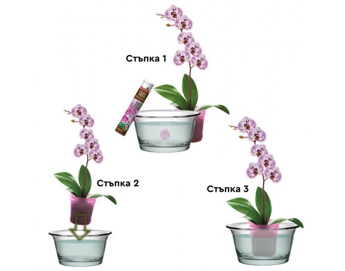 Тор Plantella, таблетки за орхидеи, 4 гр. х 20 бр. таблетки