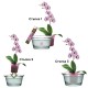Тор Plantella, таблетки за орхидеи, 4 гр. х 20 бр. таблетки