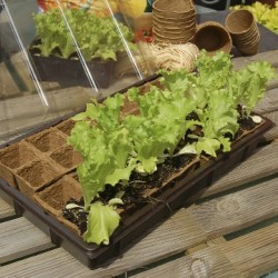 Growing Kit Мини оранжерия Nortene 28 бр на 5x5cm 160008 - Grădină