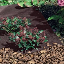 Geotex  50 g/m2 Тъкан за мулчиране Nortene 1.6 x 5 м. 2006245 - Grădină