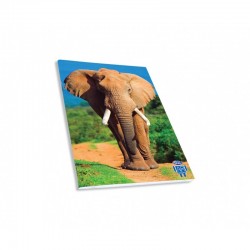 Skag Тетрадка Wild Animals AR, спирала, 2 теми, 17 х 25 cm, 60 листа, слон - Papetărie