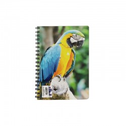 Skag Тетрадка Pets AR, спирала, 2 теми, 17 х 25 cm, 60 листа, папагал - Papetărie