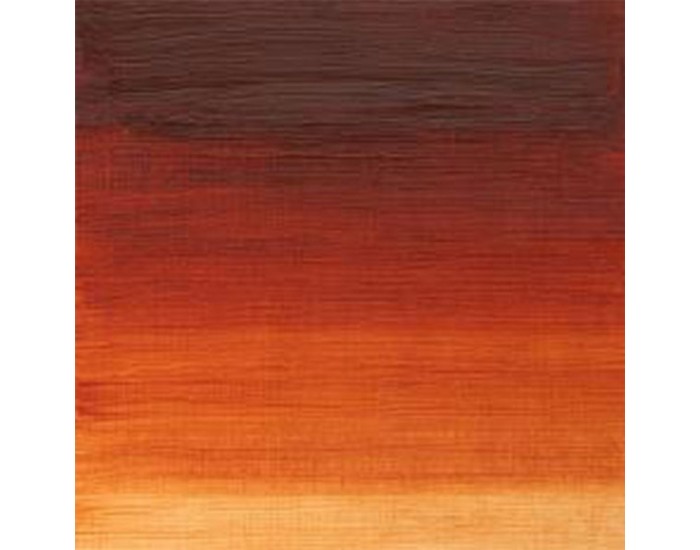 Winton Маслена боя, Burnt Sienna, 37 ml