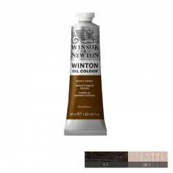 Winton Маслена боя, Burnt Umber, 37 ml - Papetărie