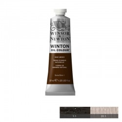 Winton Маслена боя, Raw Umber, 37 ml - Papetărie