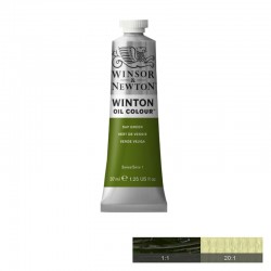 Winton Маслена боя, Sap Green, 37 ml - Papetărie