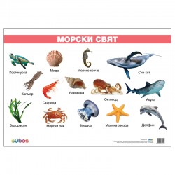 Cubos Ученическо табло ''Морски свят'', ламинирано, 50 x 70 cm, модел 2 - Artă și divertisment