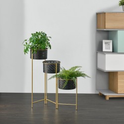 Стойка за растения Kieldrecht, 3-бр., Месинг, оцветен в черно  - Decorațiuni