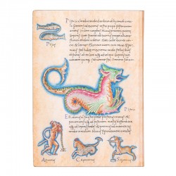 Paperblanks Тефтер Astronomica, Midi, мека корица, 88 листа - Papetărie