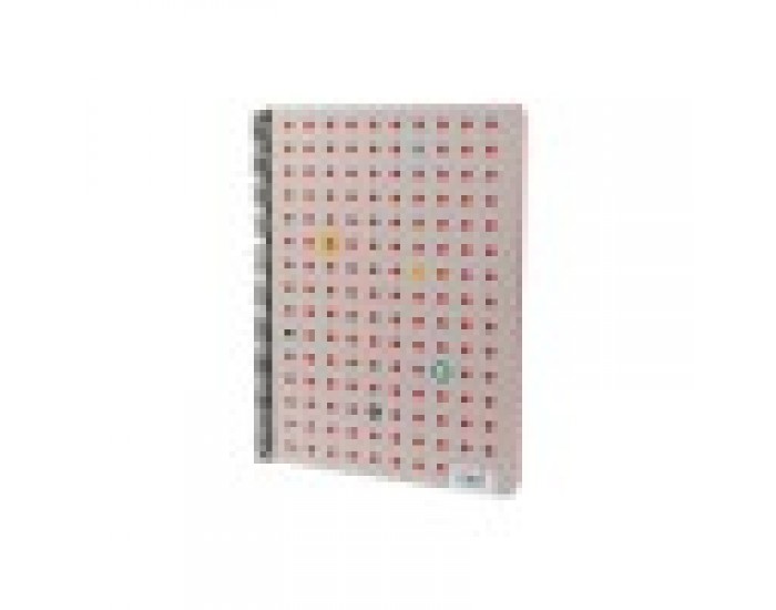 Colori Caiet, A4, rânduri late, 2 teme, ofset hârtie, spirală, copertă cartonată, 100 foi