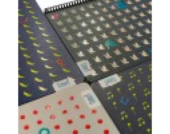 Colori Caiet, A4, rânduri late, 4 teme, ofset hârtie, spirală, copertă cartonată, 200 foi