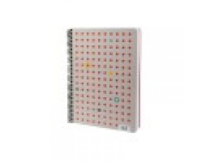Colori Caiet, A4, rânduri late, 4 teme, ofset hârtie, spirală, copertă cartonată, 200 foi