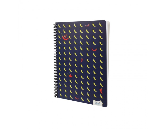 Colori Caiet, A4, rânduri late, 2 teme, ofset hârtie, spirală, copertă moale, 100 foi