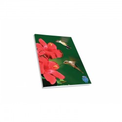 Skag Тетрадка Wild Animals AR, спирала, 2 теми, 17 х 25 cm, 60 листа, колибри - Papetărie