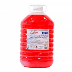 Hit&Clean Зимна течност за чистачки, -20 градуса, 5 l - Curățenie și dezinfecție