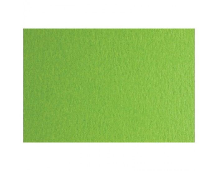 Fabriano Картон Colore, 70 x 100 cm, 140 g/m2, № 230, тревистозелен