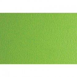 Fabriano Картон Colore, 50 x 70 cm, 140 g/m2, № 230, тревистозелен - Papetărie