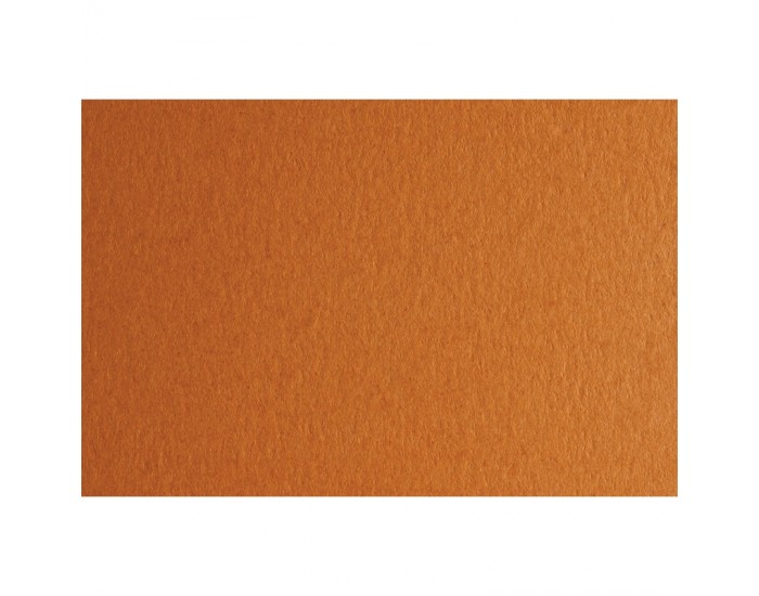 Fabriano Картон Colore, 70 x 100 cm, 140 g/m2, № 223, светлокафяв