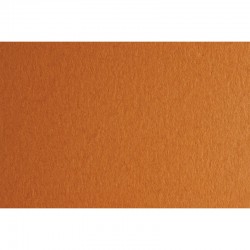 Fabriano Картон Colore, 50 x 70 cm, 140 g/m2, № 223, светлокафяв - Papetărie