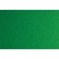 Fabriano Картон Colore, 70 x 100 cm, 140 g/m2, № 231, зелен - Papetărie
