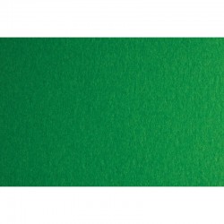 Fabriano Картон Colore, 50 x 70 cm, 140 g/m2, № 231, зелен - Papetărie