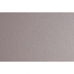 Fabriano Картон Colore, 70 x 100 cm, 140 g/m2, № 222, светлосив - Papetărie