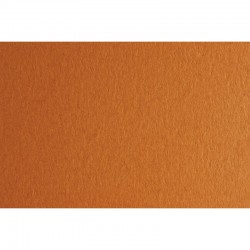 Fabriano Картон Colore, 50 x 70 cm, 200 g/m2, № 223, светлокафяв - Papetărie