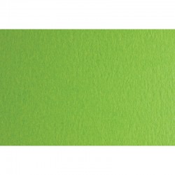 Fabriano Картон Colore, 50 x 70 cm, 200 g/m2, № 230, тревистозелен - Papetărie