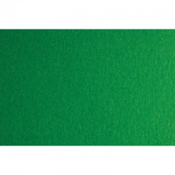 Fabriano Картон Colore, 70 x 100 cm, 200 g/m2, № 231, зелен - Papetărie