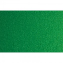 Fabriano Картон Colore, 50 x 70 cm, 200 g/m2, № 231, зелен - Papetărie