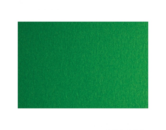 Fabriano Картон Colore, 50 x 70 cm, 200 g/m2, № 231, зелен