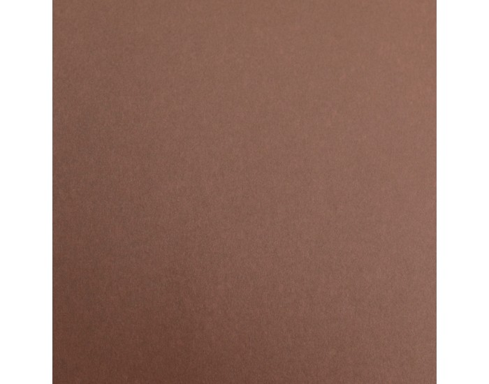 Fabriano Картон Colore, 70 x 100 cm, 200 g/m2, № 226, кафяв
