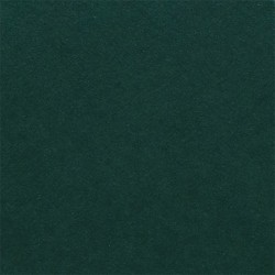 Fabriano Картон Elle Erre, 70 x 100 cm, 220 g/m2, № 128, тъмнозелен - Papetărie