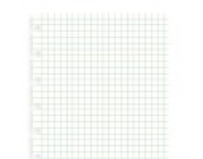 Filofax Пълнител за тефтер, A5, на квадратчета