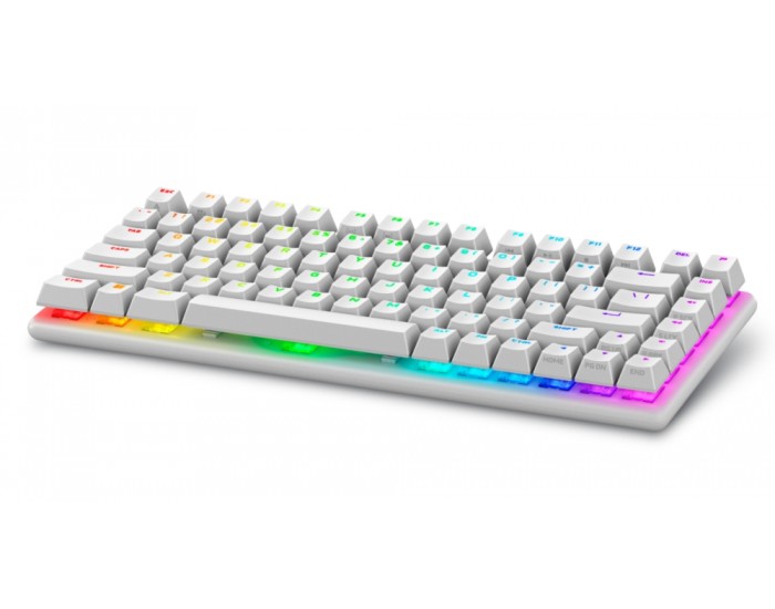 Клавиатура Dell Alienware Pro Wireless Gaming Keyboard - US (QWERTY) (Lunar Light)
