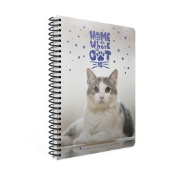 Gipta Тетрадка Catbook, бяла хартия, широки редове, PP корица, със спирала, А4, 80 листа - GIPTA