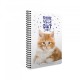 Gipta Тетрадка Catbook, бяла хартия, малки квадратчета, PP корица, със спирала, А4, 80 листа