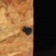 Sonata H Страничен шкаф, 80x33x75 см, акациево дърво масив