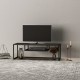 ТВ маса Isokyrö метал 120x40x40 см черна []