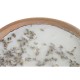 Ароматизирана Свещ DKD Home Decor Естествен Cottage 250 g (4 броя)