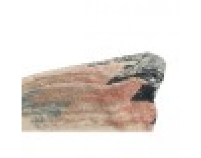 Фотьойл DKD Home Decor 70 x 75 x 85 cm Черен Метал Многоцветен