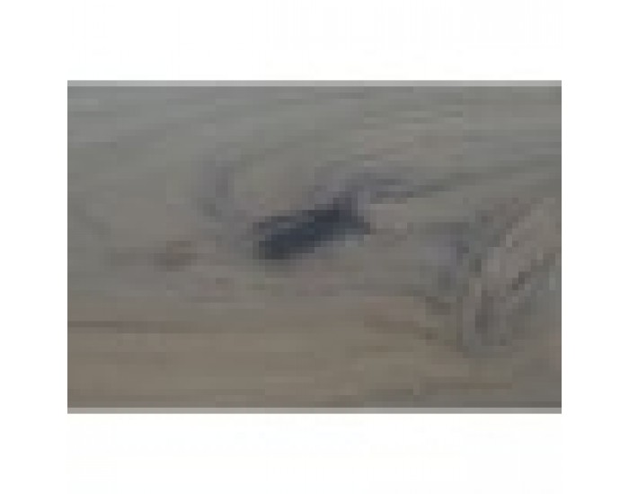 Трапезна маса DKD Home Decor Бял Кафяв Aкациево дърво Дърво манго 200 x 100 x 80 cm