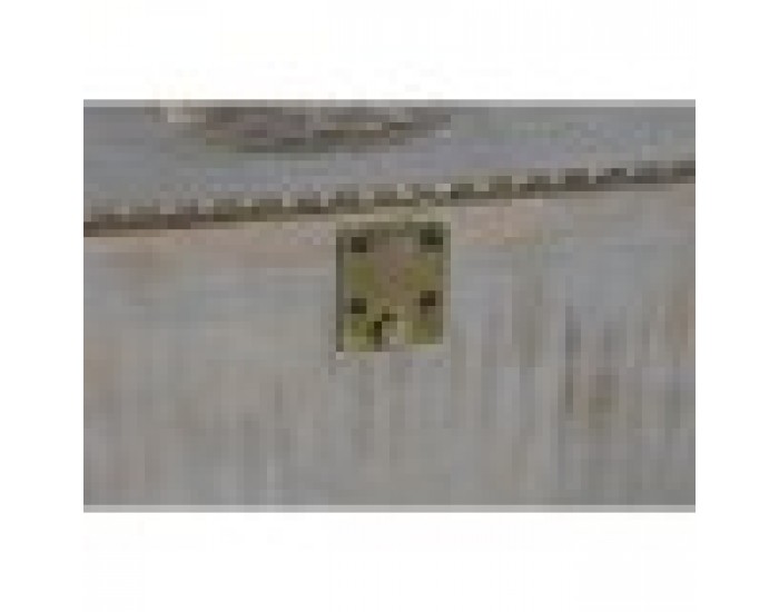 Конзола DKD Home Decor Слон Месинг Дърво манго (80 x 30 x 96 cm)