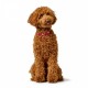 Кучешки Нашийник Hunter Love XS/S 30-34 cm Rojo/Blanco