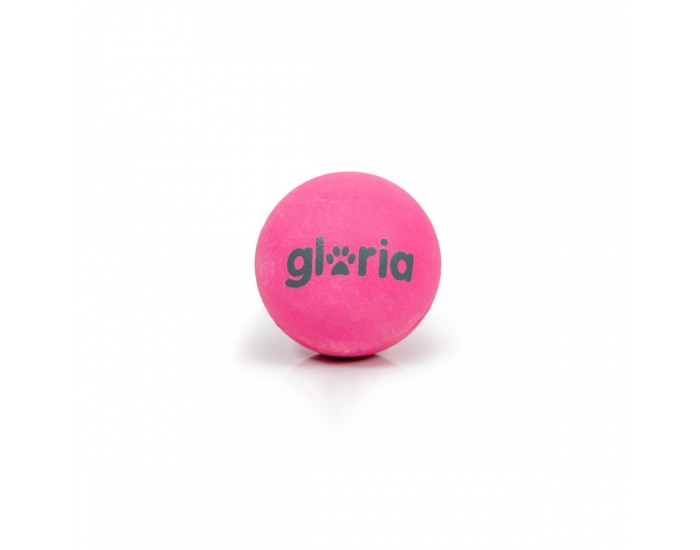 Топка за Домашни Любимци Gloria PLAY AND RUN Сив Пяна TPR S
