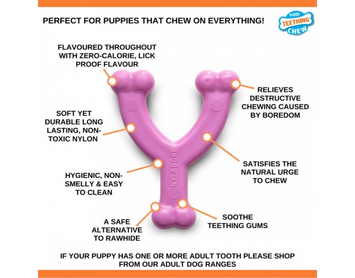 Гризалка за кучета Nylabone WISHBONE Розов Пиле XS