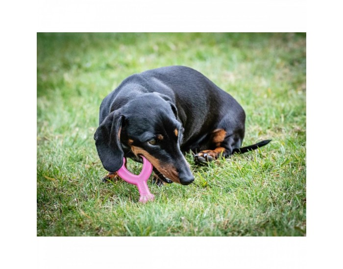 Гризалка за кучета Nylabone WISHBONE Розов Пиле XS