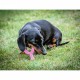 Гризалка за кучета Nylabone WISHBONE Розов Пиле XS